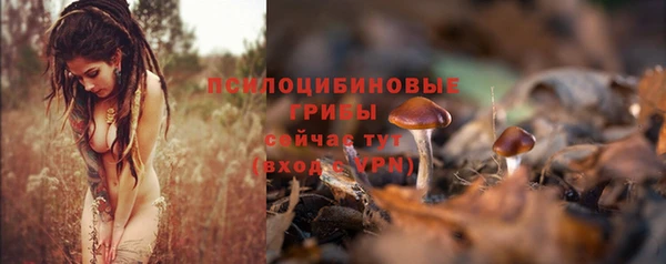 a pvp Гусиноозёрск