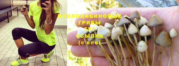 a pvp Гусиноозёрск