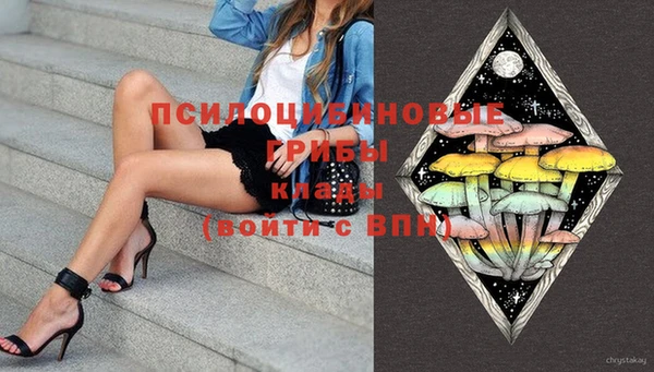 мяу мяу мука Гусев