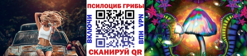Галлюциногенные грибы Psilocybe  Купить  Щёлково 