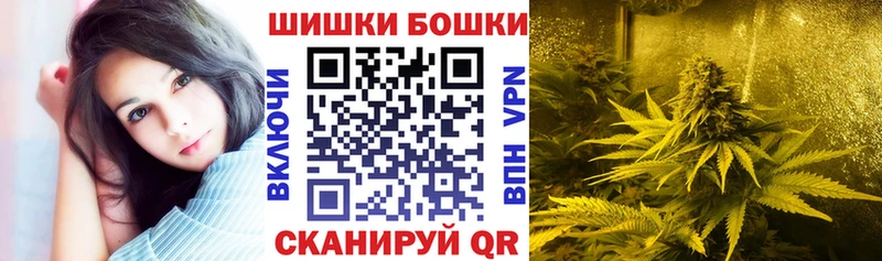 Купить где  Щёлково  Бошки марихуана SATIVA & INDICA 